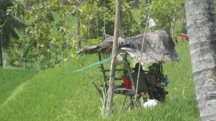 На відпочинок на балі з дитиною (бали) На відпочинок на балі з дитиною