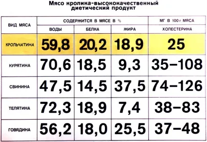 М'ясо кролика користь і шкода, калорійність (кролика) М'ясо кролика користь і шкода, калорійність