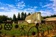 Незвичайні паркани і огорожі (всіма барвами веселки) Незвичайні паркани і огорожі