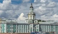 Наукова назва пупка