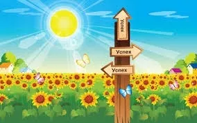 Деякі аспекти психології успіху (психології) Деякі аспекти психології успіху