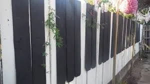 Незвичайні паркани і огорожі (огорожі) Незвичайні паркани і огорожі