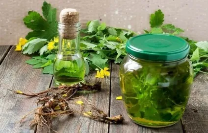 Настоянка чистотілу на горілці і спирті застосування, рецепти, лікування спиртовим екстрактом, соком і (спирту) Настоянка чистотілу на горілці і спирті застосування, рецепти, лікування спиртовим екстрактом, соком і