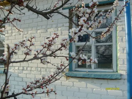 Наскільки ви пішли від природи (емоції) Наскільки ви пішли від природи