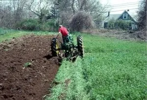 Які сидерати краще садити восени детальний огляд і специфіка вирощування подзимних сидеральних (садити) Які сидерати краще садити восени детальний огляд і специфіка вирощування подзимних сидеральних