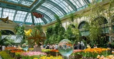 Як декорувати квітником засохле дерево - поради фахівця (дерево) Як декорувати квітником засохле дерево - поради фахівця