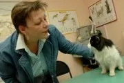 Новокаїн - домашні тварини