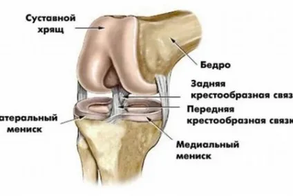 Нестабільність колінного суглоба симптоми і лікування (нестабільність) Нестабільність колінного суглоба симптоми і лікування