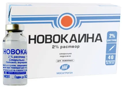 Новокаїн (novocainum) - інструкція до препарату новокаїн (побічні дії) Новокаїн (novocainum) - інструкція до препарату новокаїн