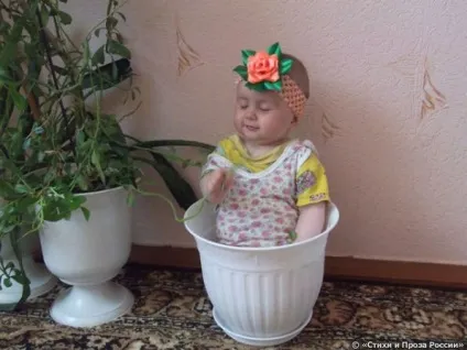 Ну, зовсім не така, як усі! Вірші і прозаУкаіни (якої) Ну, зовсім не така, як усі! Вірші і прозаУкаіни