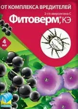 Обробка фітовермом - як розводити для огірків, для кімнатних рослин (як розводити фітоверм) Обробка фітовермом - як розводити для огірків, для кімнатних рослин