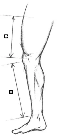 Загальні правила примірки та підбору воротарських щитків (center your kneecap your) Загальні правила примірки та підбору воротарських щитків