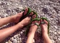 Взуття для галькового пляжу (пляжу) Взуття для галькового пляжу