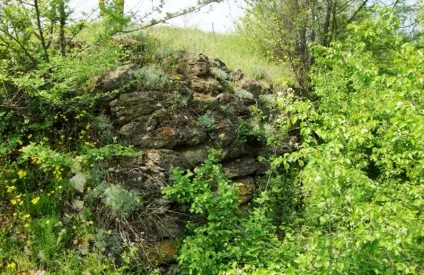 Один день в Ростові-на-дону які пам'ятки обов'язково подивитися (подивитися) Один день в Ростові-на-дону які пам'ятки обов'язково подивитися