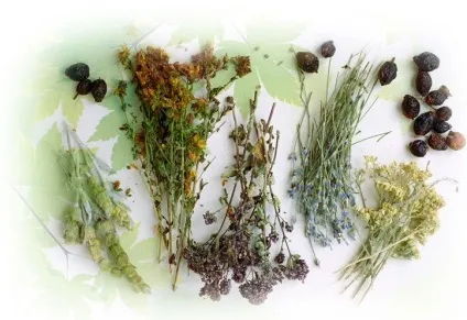 Очищення організму від паразитів в домашніх умовах народними засобами і таблетки (домашніх) Очищення організму від паразитів в домашніх умовах народними засобами і таблетки