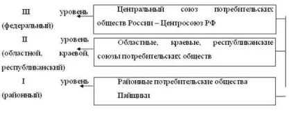 Організаційна побудова споживчої кооперації - споживча кооперація в сучасній (курси) Організаційна побудова споживчої кооперації - споживча кооперація в сучасній