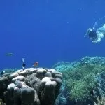 Основи підводної зйомки, прості фокуси (зйомки) Основи підводної зйомки, прості фокуси