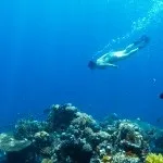 Основи підводної зйомки, прості фокуси (зйомки) Основи підводної зйомки, прості фокуси