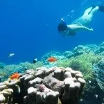 Основи підводної зйомки, прості фокуси (зйомки) Основи підводної зйомки, прості фокуси
