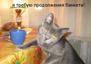 Особливості побудови публічного виступу як виступити яскраво