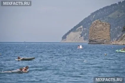 Відпочинок російською півдні геленджик, анапа, сочи, крим (відпочинок) Відпочинок російською півдні геленджик, анапа, сочи, крим