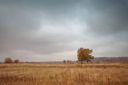 Відпочинок в білорусі в жовтні (погода) Відпочинок в білорусі в жовтні