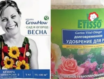 Основна та позакореневе підживлення троянд, відео, дача (ложка відро води) Основна та позакореневе підживлення троянд, відео, дача