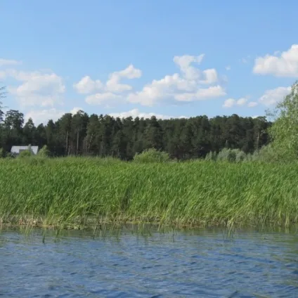 Відпочинок на воді