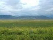 Пам'ятка для туристів, які планують поїздку в ОАЕ (пам'ятати мусульманська країна) Пам'ятка для туристів, які планують поїздку в ОАЕ