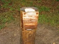 Полювання на лося на солонцях (солонцях) Полювання на лося на солонцях