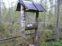 Полювання на лося на солонцях (солонцях) Полювання на лося на солонцях