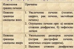 Пальпація та перкусія печінки норми, проведення (фото і відео) (проведення) Пальпація та перкусія печінки норми, проведення (фото і відео)