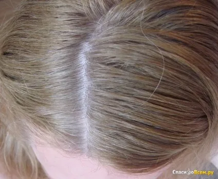 Відгук про фарба для волосся loreal preference 9