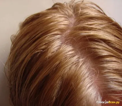 Відгук про фарба для волосся loreal preference 9