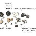 Панкреатит у кішок симптоми і лікування, причини, харчування, аналіз крові, дієта, як і раніше (харчування) Панкреатит у кішок симптоми і лікування, причини, харчування, аналіз крові, дієта, як і чим