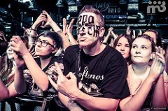 Papa roach Новомосковскют і співають, musecube