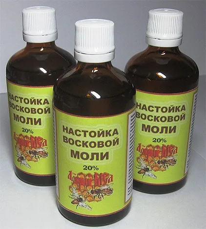 Бджолина міль і застосування її настойки для лікування захворювань (бджолина моль застосування настоянка лікування) Бджолина міль і застосування її настойки для лікування захворювань
