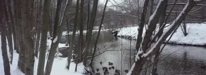 Парк Покровське-Стрешнєва фото, пам'ятки, адреса, як дістатися до парку (покровське Стрешнево парк адреса) Парк Покровське-Стрешнєва фото, пам'ятки, адреса, як дістатися до парку