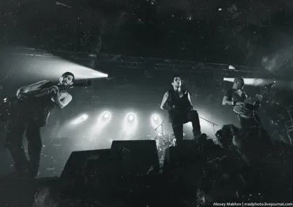 Papa roach