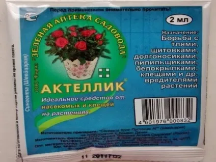 Павутинний кліщ на огірках ознаки появи і заходи боротьби (павутинний кліщ на огірках як боротися) Павутинний кліщ на огірках ознаки появи і заходи боротьби