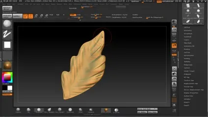 Пір'я в zbrush - комп'ютерна графіка та анімація