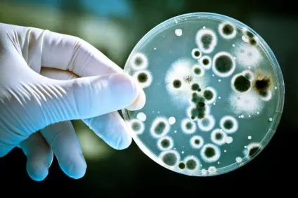 Phenoxyethanol в косметиці опис, користь і шкода