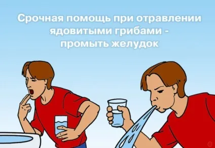 Перша допомога при отруєнні грибами, популярна медицина (допомога) Перша допомога при отруєнні грибами, популярна медицина