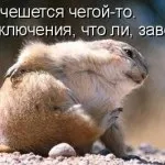 погані прикмети