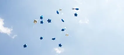 Перемога над сайтом