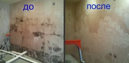 Цвіль у ванній (грибок) як позбутися (прибрати) шви, плитка (цвіль) Цвіль у ванній (грибок) як позбутися (прибрати) шви, плитка