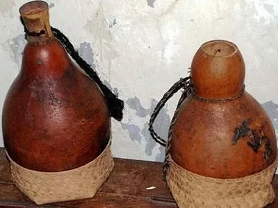 Вироби з гарбуза своїми руками 1 (гарбуза) Вироби з гарбуза своїми руками 1