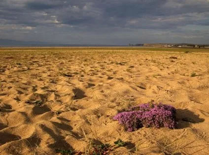 Чому хоч раз в житті варто побувати на Байкалі, або 10 речей, які необхідно зробити на (Байкалі) Чому хоч раз в житті варто побувати на Байкалі, або 10 речей, які необхідно зробити на