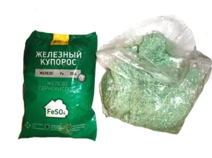 Чому жовтіє полуниця навесні, що робити (чому) Чому жовтіє полуниця навесні, що робити