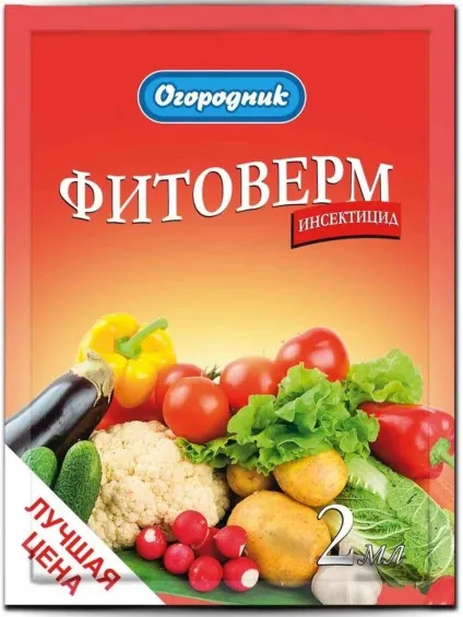 Чому на яблуні з'являється павутина і як з цим боротися (боротися) Чому на яблуні з'являється павутина і як з цим боротися